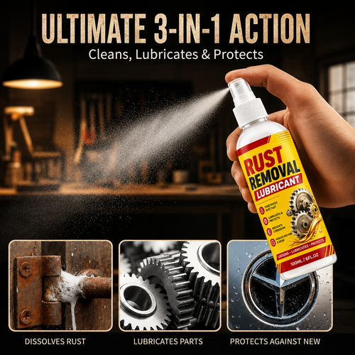Anti-Rust Lubricant Spray & Rust Remover