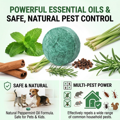 Get Rid of Rats & Mice