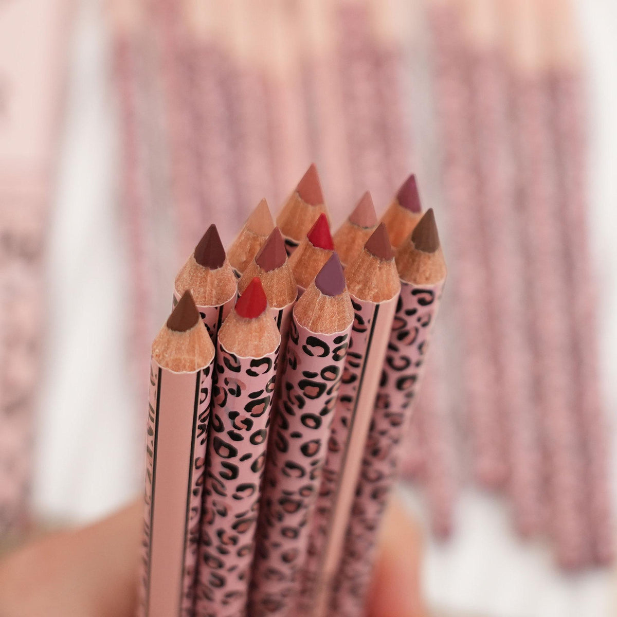 Full 12-Color Lip Liner Set