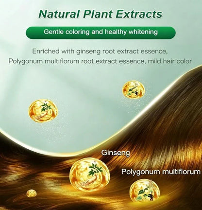 🔥🎁Last Day-Buy 1 Get 1 Free 🔥Botanical Fruit Essence Hair Dye Cream Nourishing Gray Coverage