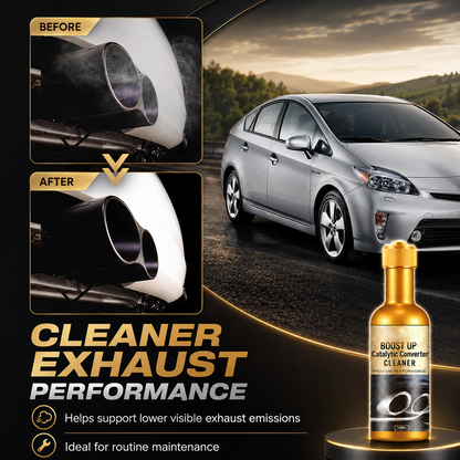 Catalytic Converter Cleaner
