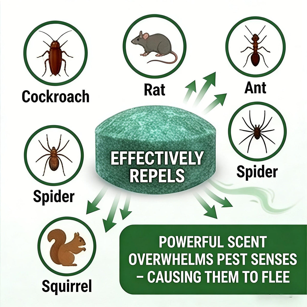 Get Rid of Rats & Mice